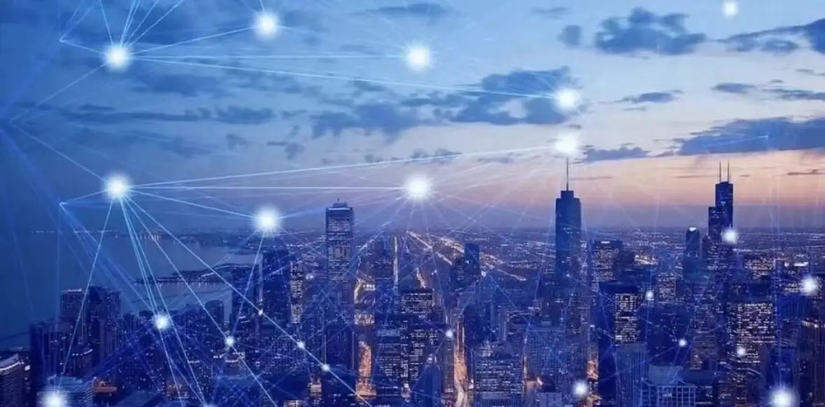 专业测试法律知识考什么