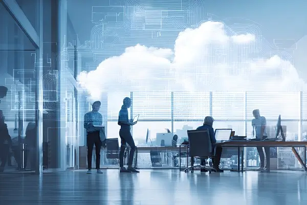 2020法律自考考什么