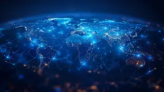 猫有什么法律权利