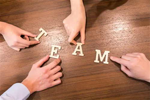 道法包含什么法律知识点