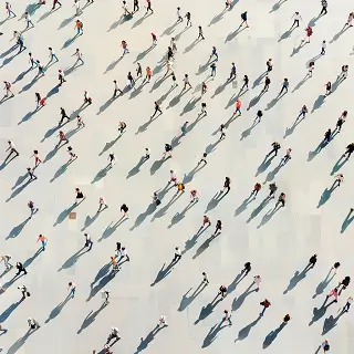 罗翔懂法律的人叫什么