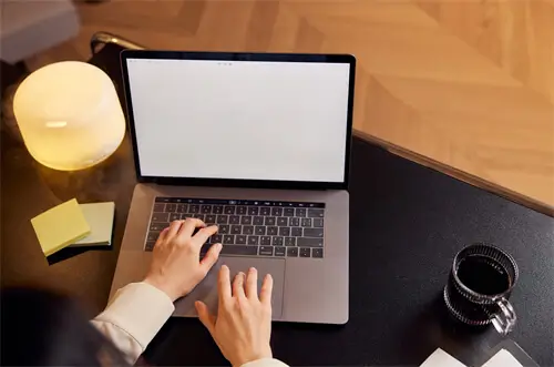 传统法律文化包括什么